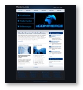 Website Template 15