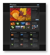 Website Template 17