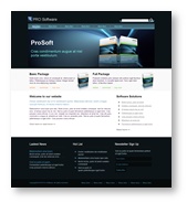 Website Template 19