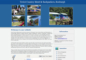 Website Example 15